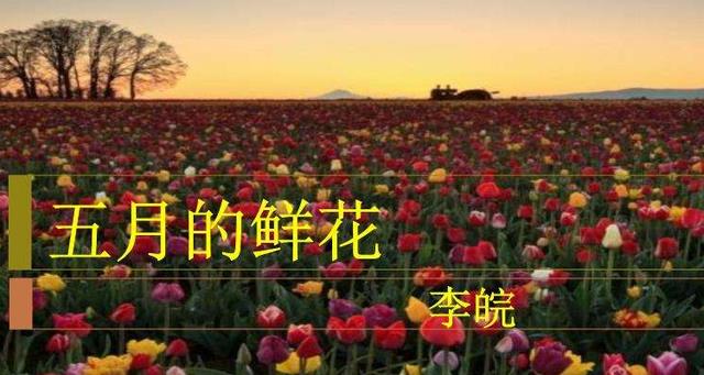 小学生唱的红歌都有哪些(关于小学生的红歌有哪些)插图
