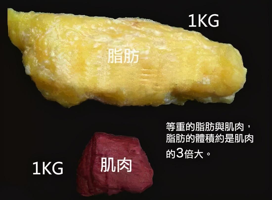 bmi体脂率对照表(女性体脂率对照表2023)插图1