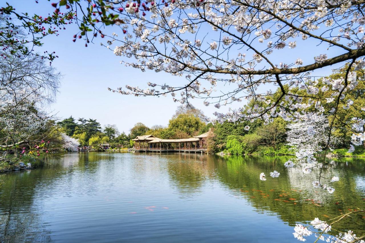 西湖十景介绍简短 (西湖美景介绍100字左右)插图12
