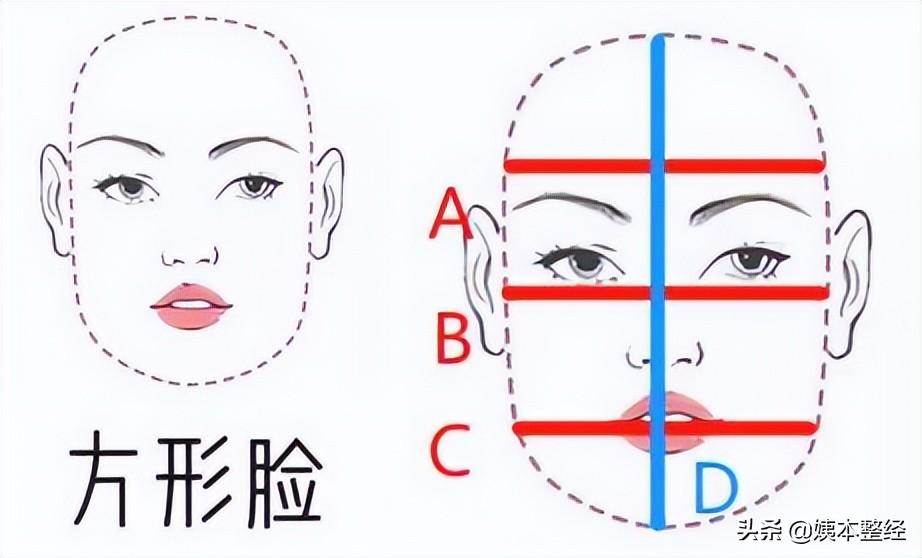 扫脸测试自己的脸型 (扫脸识人)插图3