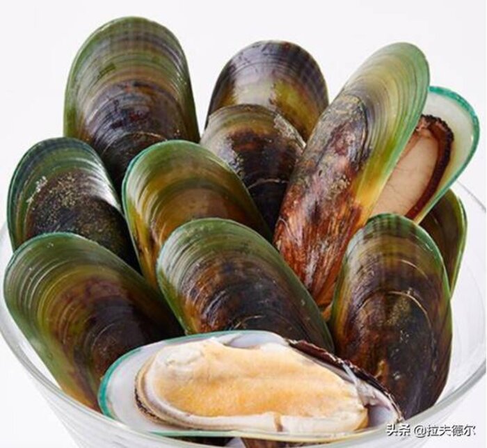 常见的45种海鲜贝壳(普通贝壳类海鲜有哪些)插图4
