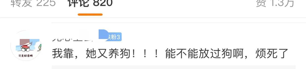 郑爽最近去哪了(郑爽去哪里发展了)插图13