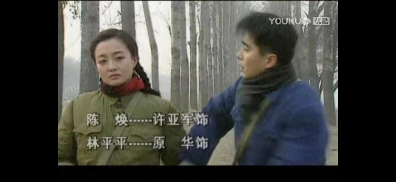 一年又一年电视剧结局(小楼又东风剧情介绍结局)插图8