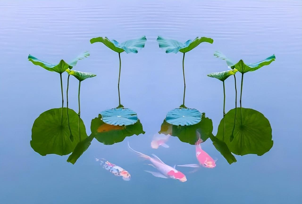 特别厌恶母亲是心理疾病(厌恶母亲是什么心理)插图