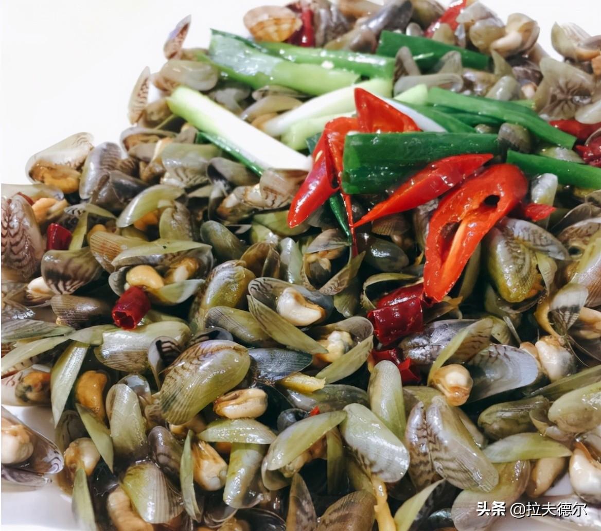 常见的45种海鲜贝壳(普通贝壳类海鲜有哪些)插图7