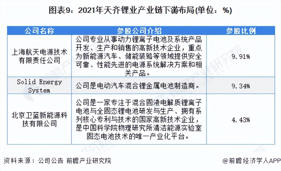 中国碳酸锂十大公司(中国锂电池十大排名)插图8