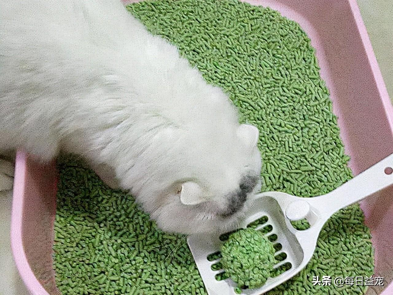 猫砂多久换一次需要全部倒掉吗(猫砂要全部倒掉换新的吗)插图2