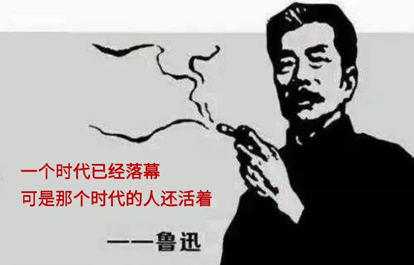 视频会议设备(polycom视频会议系统使用说明)插图4