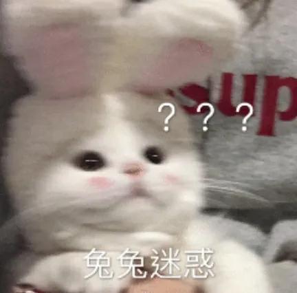 我真的很抓马什么意思(真的很抓马什么意思)插图