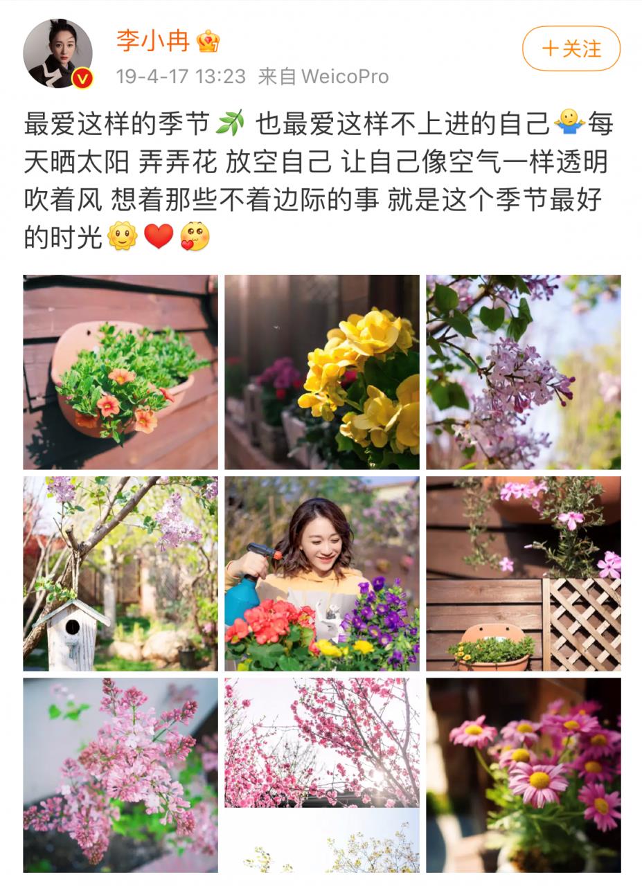 徐佳宁个人资料简介(徐佳宁)插图18