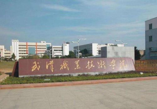 武汉高职高专学校排名(2023年湖北高职院校排行)插图1