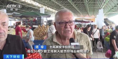 土耳其宣布暂停散装橄榄油出口(橄榄油价格上涨102%)插图1