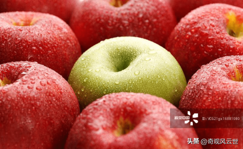 投资小加盟什么店最赚钱(什么加盟店便宜又赚钱)插图4