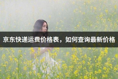 京东快递邮费价格是多少(京东快递运费价格表)