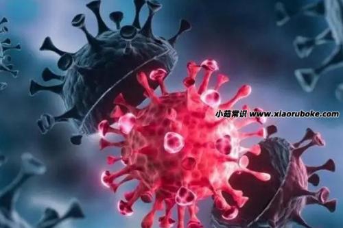 2022年最吓人的预言(五大预言家惊世预言)插图2