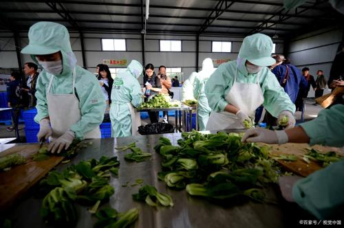 近几年哪个行业最赚钱(你看不上却非常赚钱的10个行业)插图3