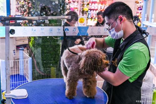 近几年哪个行业最赚钱(你看不上却非常赚钱的10个行业)插图4