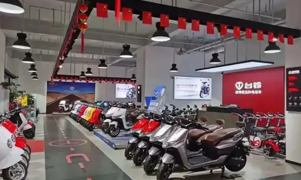 十大电动车品牌(电动车品牌排行榜十大名牌)插图6