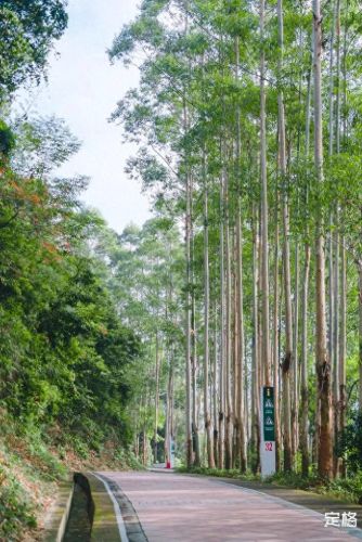 深圳户外徒步十大排行榜(深圳户外徒步群)插图22