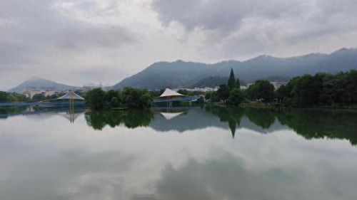 手机取景器排行榜十大品牌(手机拍摄杆哪种最好用)插图27