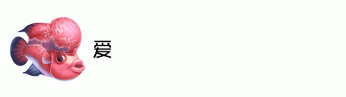 罗汉鱼饲料十大名牌排行榜(便宜罗汉鱼饲料)插图 罗汉鱼饲料十大名牌排行榜(便宜罗汉鱼饲料)插图