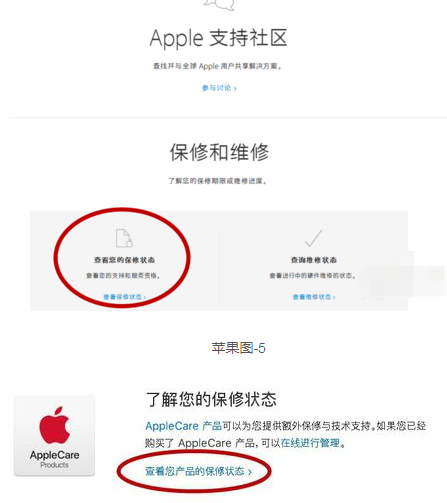 iphone 11如何查看激活时间(iphone11怎样查看激活日期)插图3