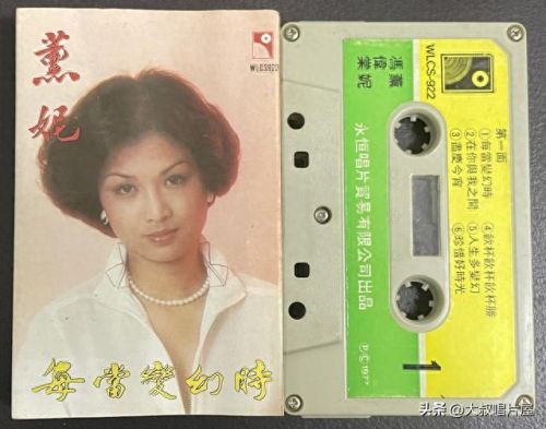 十大优秀中文老歌曲排行榜(经典怀旧歌曲排行)插图9