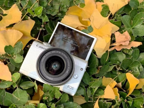 学生党单反十大排行榜(单反摄影十大忠告)插图2