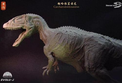 十大肉食恐龙实力排行榜(肉食恐龙战斗力排名)插图4