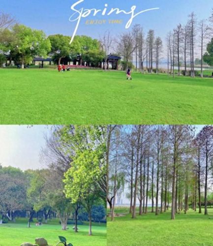 武汉免费露营十大排行榜(口碑最好10大露营帐篷)插图4