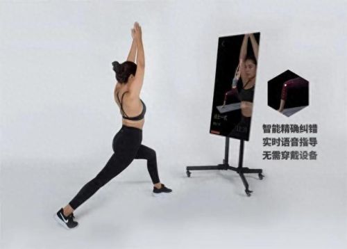 墙上健身设备十大排行榜(中国十大健身器材品牌)插图13