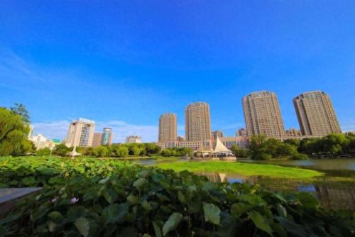 洞头县十大富豪排行榜最新(洞头县财政收入)插图9