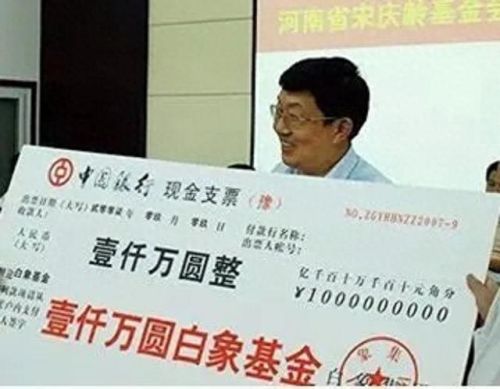 平舆县十大首富排行榜名单(平舆首富武飞媳妇)