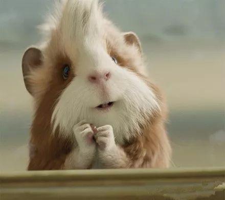 潍坊十大笑话排行榜大全(十大顶级长篇笑话)插图4