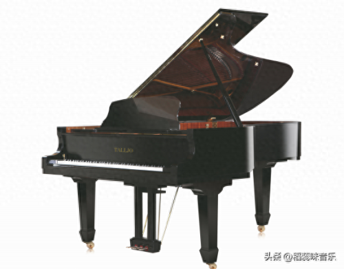 钢琴演奏十大排行榜(钢琴学校十大排名)插图