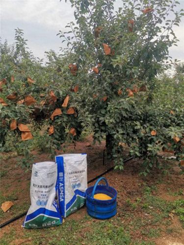 水溶肥品牌十大品牌排行榜(中国水溶肥十大品牌出炉)插图