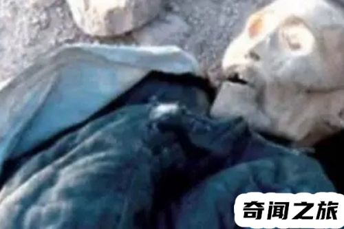 家里找不到东西莫名被咬(海口一家30多人被排蜂咬身亡)