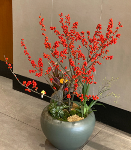 十大名贵花卉排行榜图片大全(十大稀有花卉排名)插图24