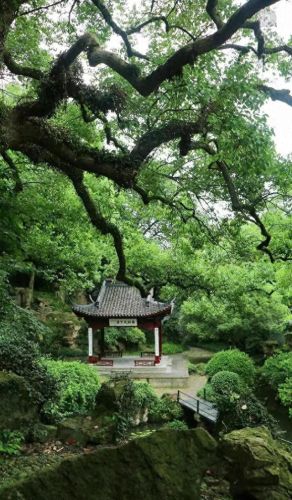 莫干山景点十大排行榜(莫干山必去八个景点)插图39