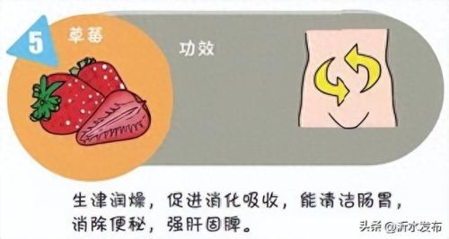 十大排毒最强食物排行榜(肝脏排毒吃什么食物最好)插图2