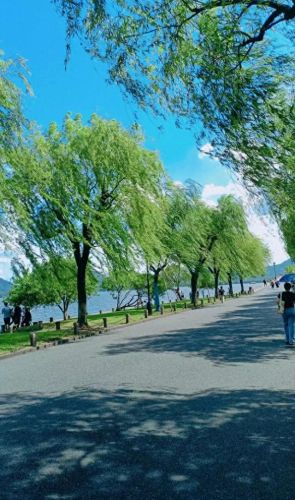 莫干山景点十大排行榜(莫干山必去八个景点)插图41