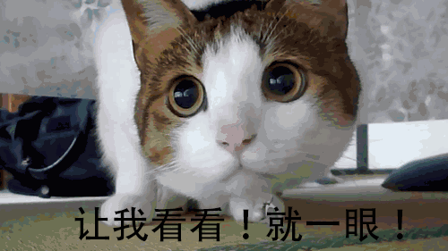 冷战十大冲锋枪排行榜中国(十大冲锋枪是最强的吗)插图1