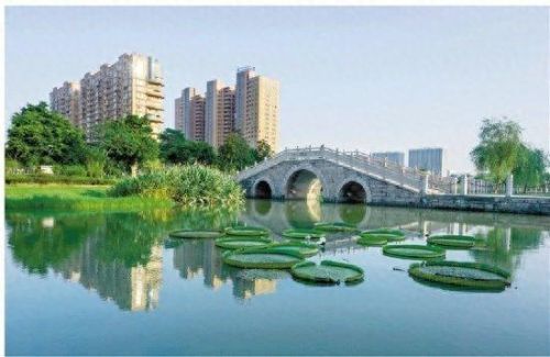 洞头县十大富豪排行榜最新(洞头县财政收入)插图21