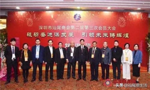 陆丰十大豪宅排行榜(广东陆丰南塘第一豪宅)插图6