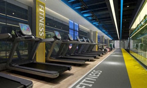 十大奢侈品运动器械排行榜(康复器械十大品牌)插图 十大奢侈品运动器械排行榜(康复器械十大品牌)插图