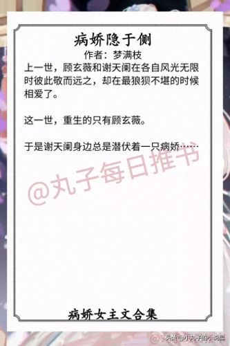 十大病娇女主小说排行榜(最新病娇的女主小说)插图6