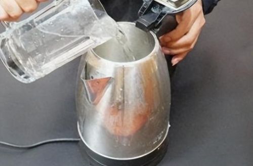 烧茶壶十大排行榜品牌(四大品牌煮茶壶)插图3