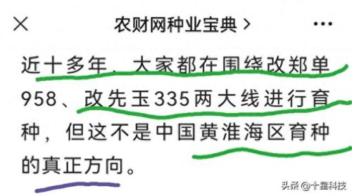 十大品牌玉米种子排行榜(玉米种子十大品牌排行榜图片)插图5 十大品牌玉米种子排行榜(玉米种子十大品牌排行榜图片)插图5