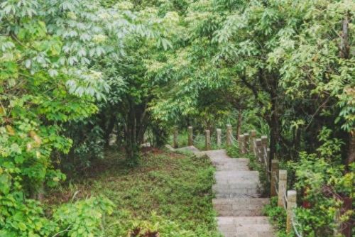 深圳户外徒步十大排行榜(深圳户外徒步群)插图69