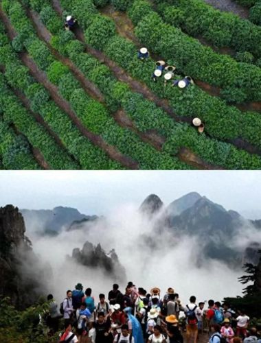 莫干山景点十大排行榜(莫干山必去八个景点)插图1
